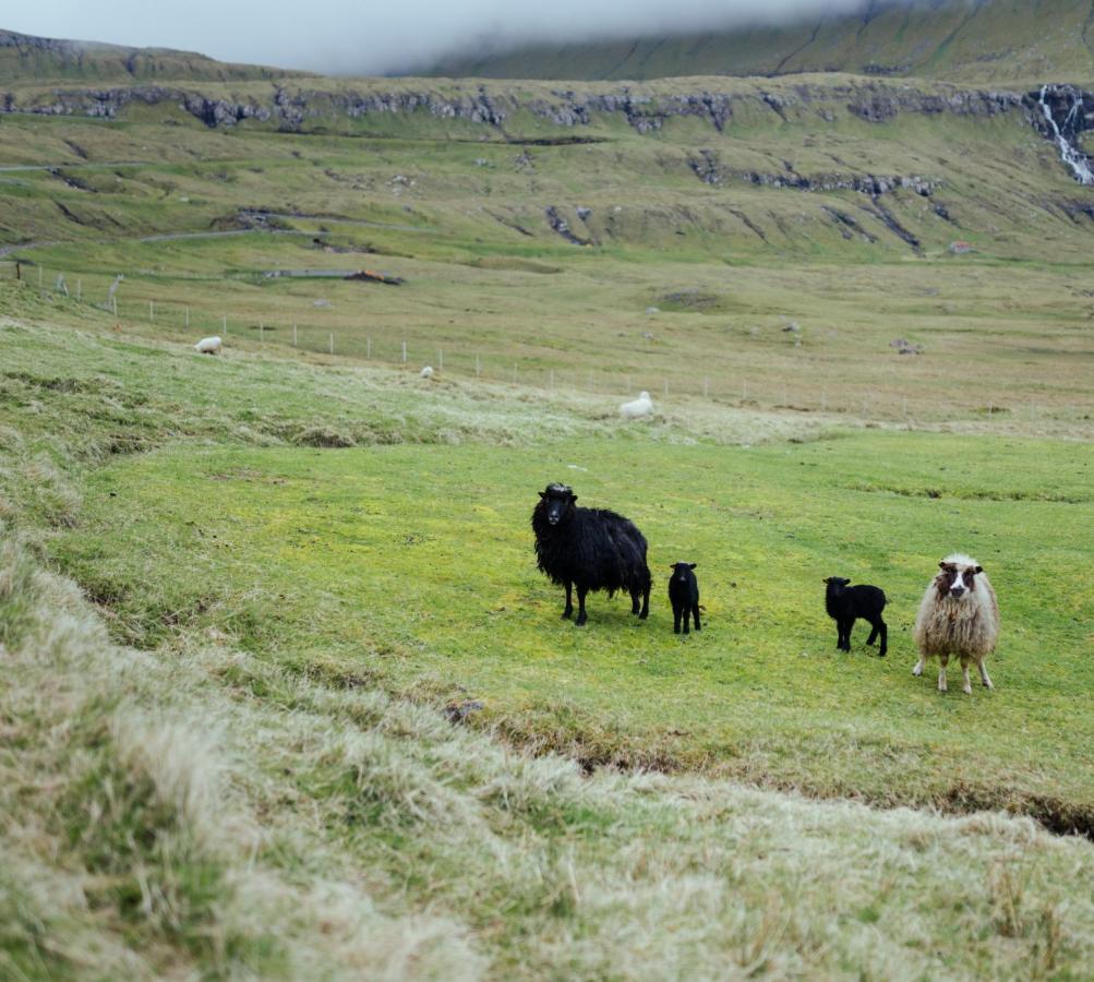 Authentic Faroese House / Unique Location / Nature Hellurnar Exterior photo